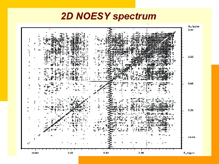 2 D NOESY spectrum 