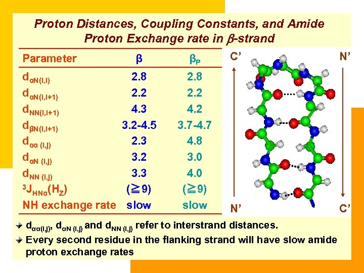 Proton Distances, Coupling Constants, and Amide Proton Exchange rate in b-strand Parameter β dαN(i,