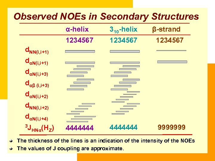 Observed NOEs in Secondary Structures α-helix 310 -helix β-strand 1234567 4444444 9999999 d. NN(i,