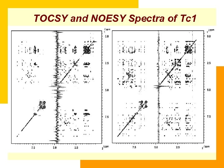 TOCSY and NOESY Spectra of Tc 1 