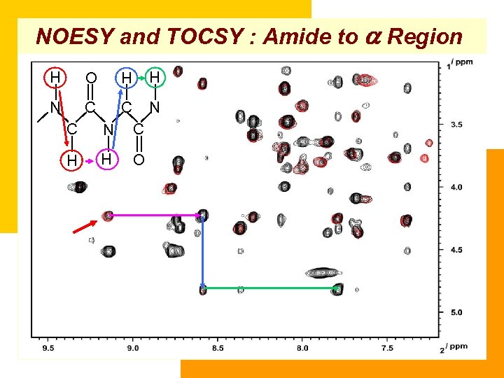NOESY and TOCSY : Amide to a Region H O H H N C