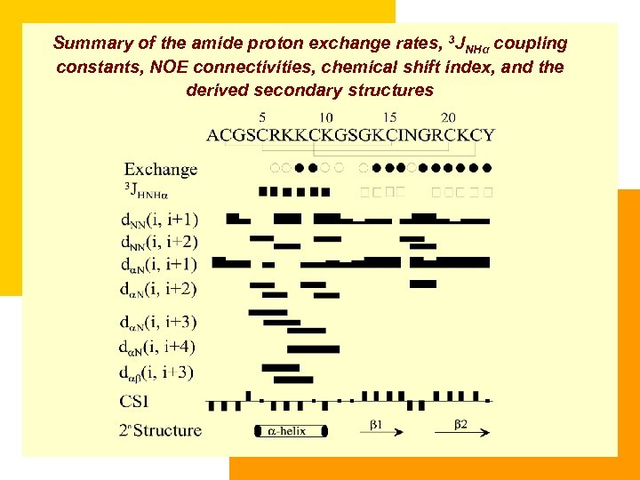 Summary of the amide proton exchange rates, 3 JNHα coupling constants, NOE connectivities, chemical