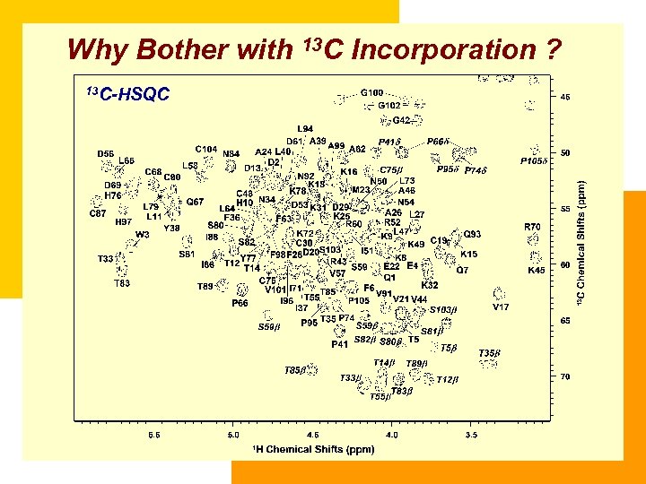 Why Bother with 13 C Incorporation ? 13 C-HSQC 