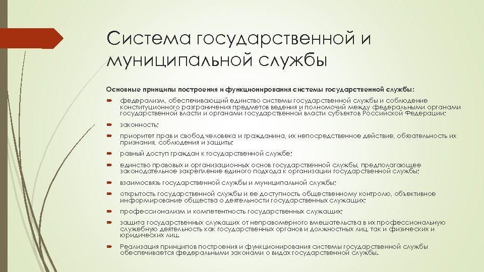 Государственная и муниципальная служба основные принципы