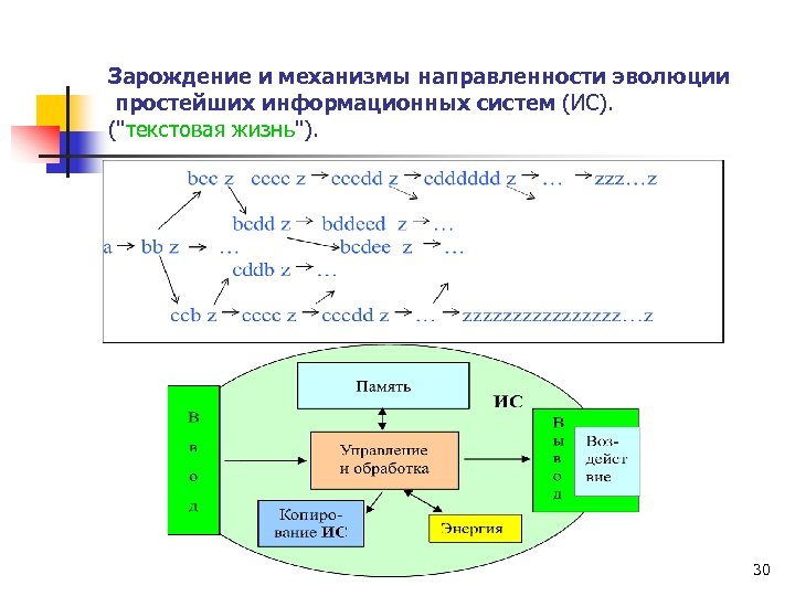 Зарождение и механизмы направленности эволюции простейших информационных систем (ИС). ("текстовая жизнь"). 30 