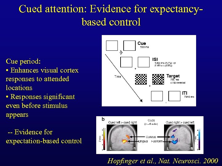 Cued attention: Evidence for expectancybased control Cue period: • Enhances visual cortex responses to
