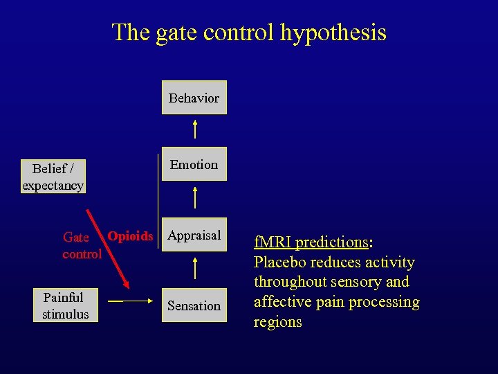 The gate control hypothesis Behavior Belief / expectancy Emotion Gate Opioids Appraisal control Painful