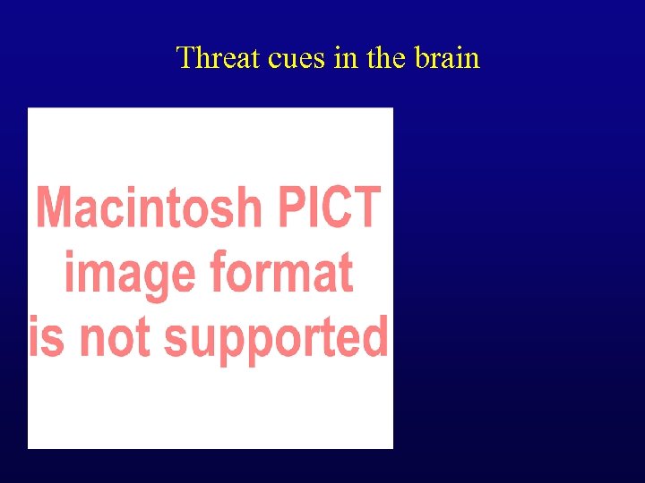 Threat cues in the brain 