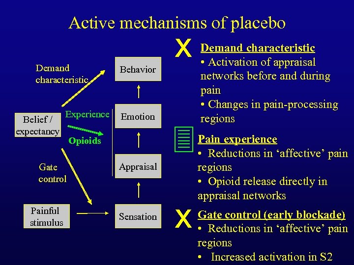 Active mechanisms of placebo Demand characteristic Belief / expectancy Experience Gate control Painful stimulus