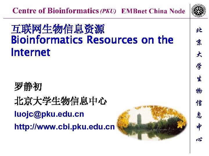 互联网生物信息资源 Bioinformatics Resources on the Internet 罗静初 北京大学生物信息中心 luojc@pku. edu. cn http: //www. cbi.