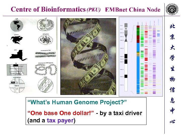 “What’s Human Genome Project? ” “One base One dollar!” - by a taxi driver