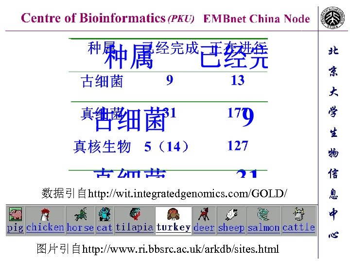 数据引自http: //wit. integratedgenomics. com/GOLD/ 图片引自http: //www. ri. bbsrc. ac. uk/arkdb/sites. html 