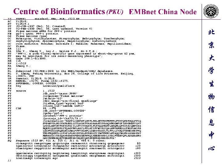 ID AC SV DT DT DE KW OS OC OC RN RA RT RT