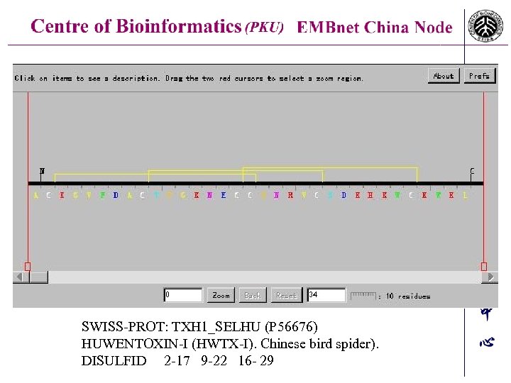 SWISS-PROT: TXH 1_SELHU (P 56676) HUWENTOXIN-I (HWTX-I). Chinese bird spider). DISULFID 2 -17 9