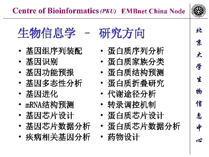 生物信息学 – 研究方向 • • • 基因组序列装配 基因识别 基因功能预报 基因多态性分析 基因进化 m. RNA结构预测 基因芯片设计