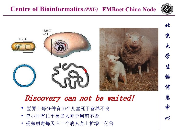 Discovery can not be waited! • 世界上每分钟有10个儿童死于营养不良 • 每小时有11个美国人死于用药不当 • 爱兹病毒每天在一个病人身上扩增一亿倍 