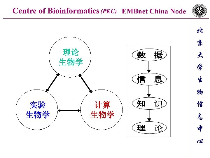 理论 生物学 实验 生物学 计算 生物学 