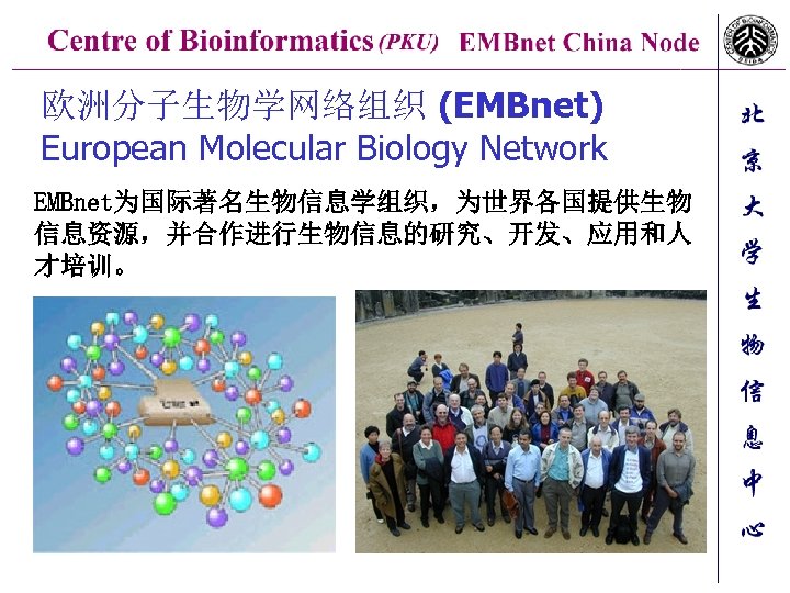欧洲分子生物学网络组织 (EMBnet) European Molecular Biology Network EMBnet为国际著名生物信息学组织，为世界各国提供生物 信息资源，并合作进行生物信息的研究、开发、应用和人 才培训。 
