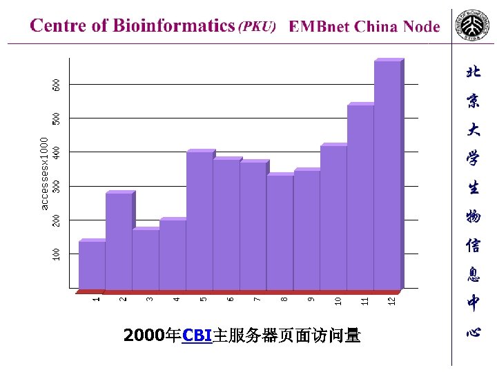 2000年CBI主服务器页面访问量 