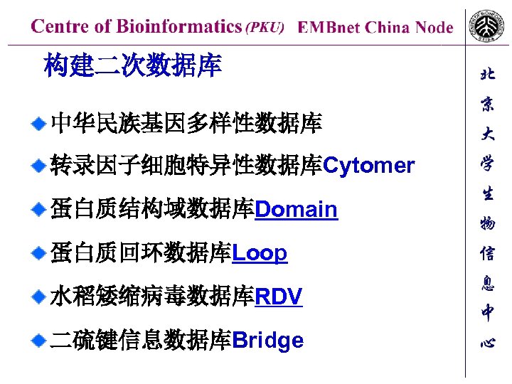 构建二次数据库 中华民族基因多样性数据库 转录因子细胞特异性数据库Cytomer 蛋白质结构域数据库Domain 蛋白质回环数据库Loop 水稻矮缩病毒数据库RDV 二硫键信息数据库Bridge 