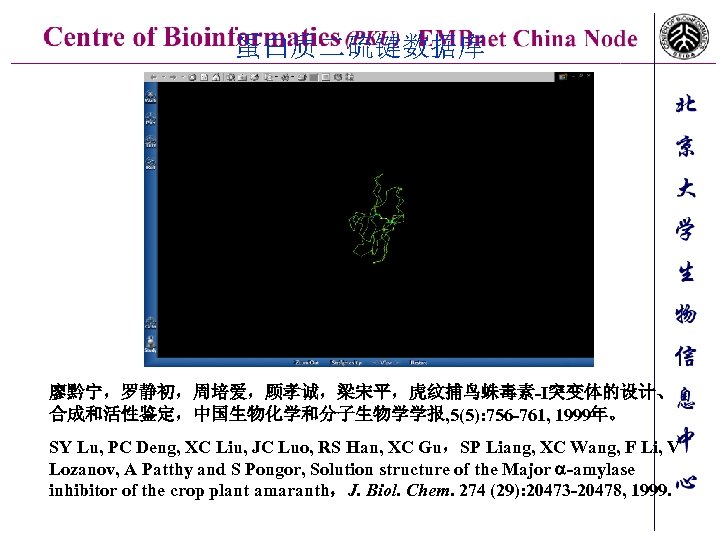 蛋白质二硫键数据库 廖黔宁，罗静初，周培爱，顾孝诚，梁宋平，虎纹捕鸟蛛毒素-I突变体的设计、 合成和活性鉴定，中国生物化学和分子生物学学报, 5(5): 756 -761, 1999年。 SY Lu, PC Deng, XC Liu, JC