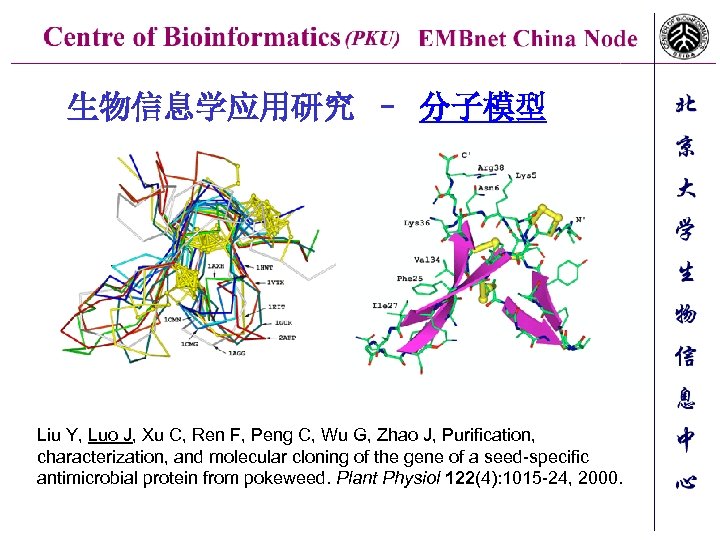 生物信息学应用研究 – 分子模型 Liu Y, Luo J, Xu C, Ren F, Peng C, Wu