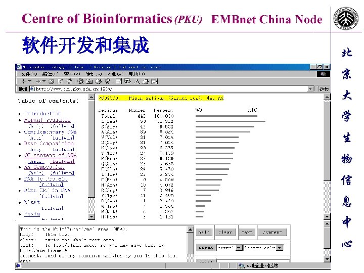 软件开发和集成 