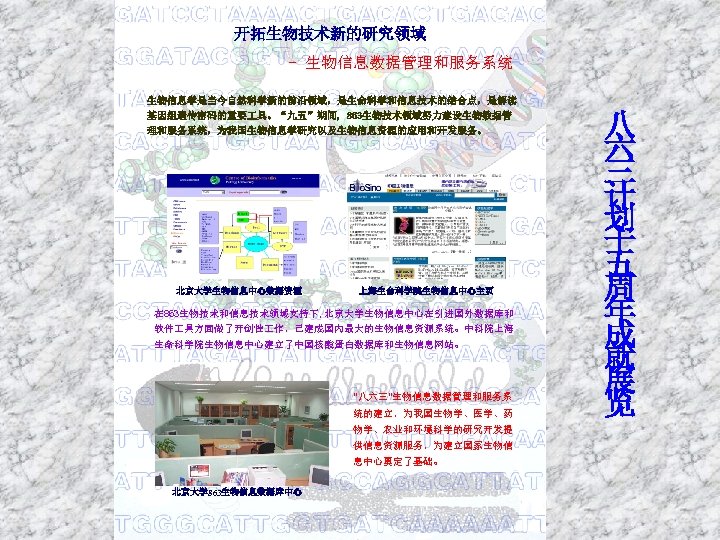 开拓生物技术新的研究领域 - 生物信息数据管理和服务系统 生物信息学是当今自然科学新的前沿领域，是生命科学和信息技术的结合点，是解读 基因组遗传密码的重要 具。“九五”期间, 863生物技术领域努力建设生物数据管 理和服务系统，为我国生物信息学研究以及生物信息资源的应用和开发服务。 北京大学生物信息中心数据资源 上海生命科学院生物信息中心主页 在 863生物技术和信息技术领域支持下, 北京大学生物信息中心在引进国外数据库和 软件