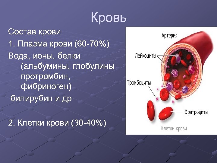 Альбумины и глобулины крови