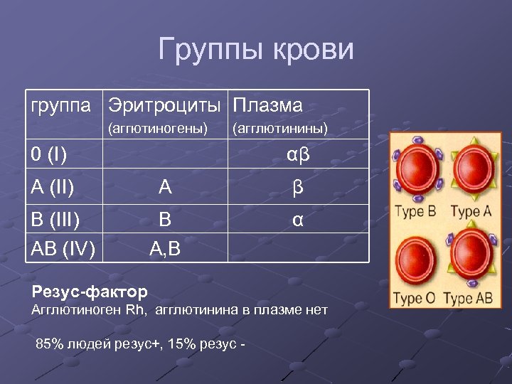 Агглютиногены четвертой группы крови