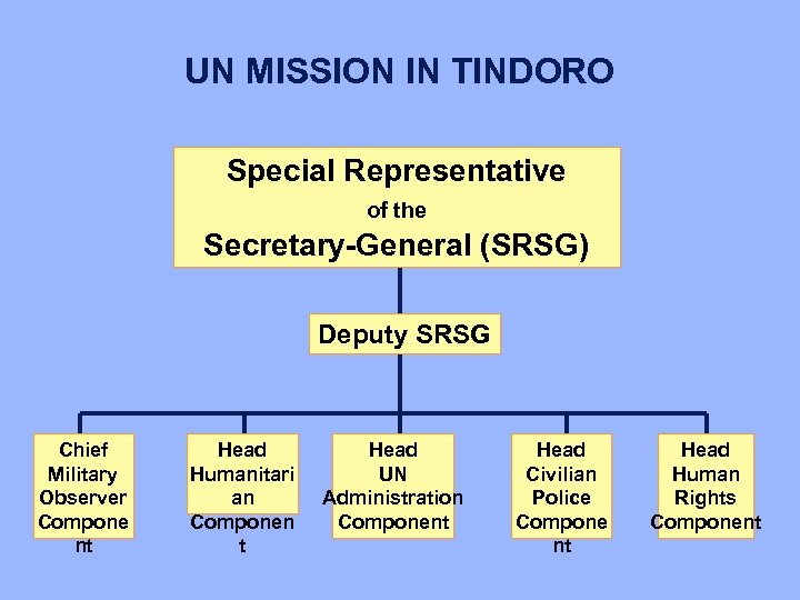 UN MISSION IN TINDORO Special Representative of the Secretary-General (SRSG) Deputy SRSG Chief Military