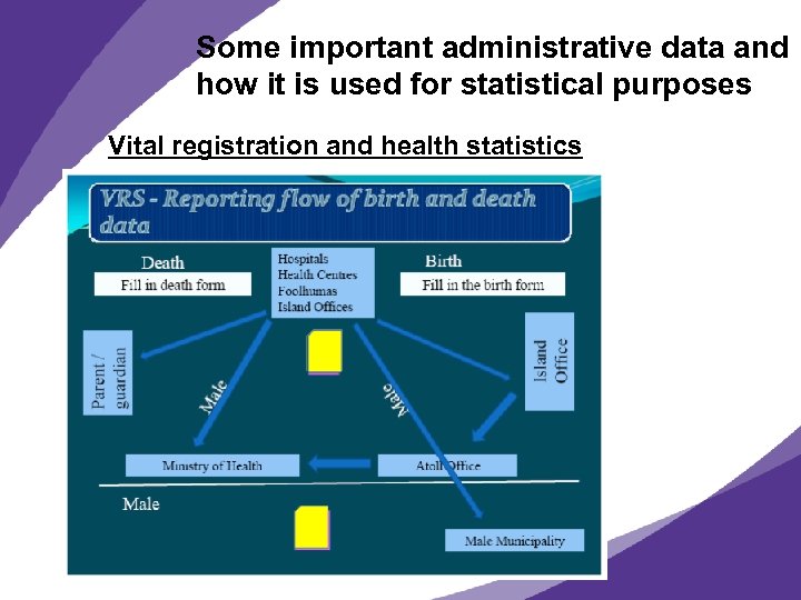 Some important administrative data and how it is used for statistical purposes Vital registration