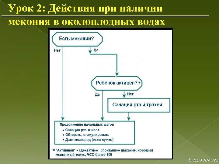 Урок 2: Действия при наличии мекония в околоплодных водах © 2000 AAP/AH 
