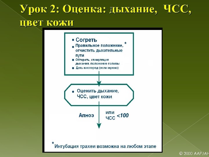 Урок 2: Оценка: дыхание, ЧСС, цвет кожи © 2000 AAP/AH 