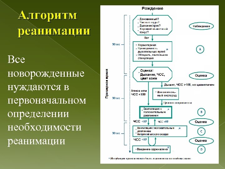 Алгоритм реанимации Все новорожденные нуждаются в первоначальном определении необходимости реанимации 