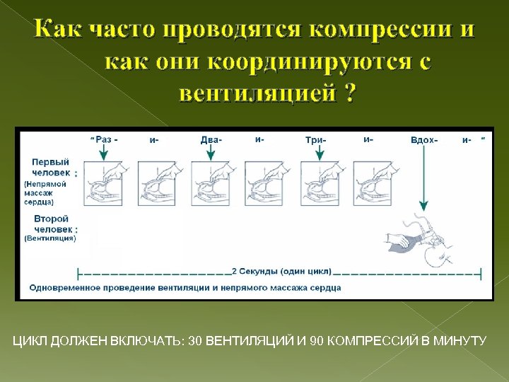 Как часто проводятся компрессии и как они координируются с вентиляцией ? ЦИКЛ ДОЛЖЕН ВКЛЮЧАТЬ: