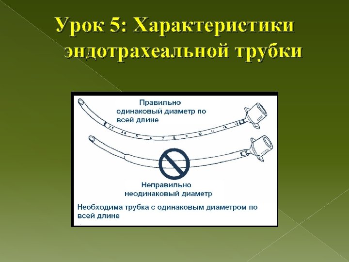 Урок 5: Характеристики эндотрахеальной трубки 