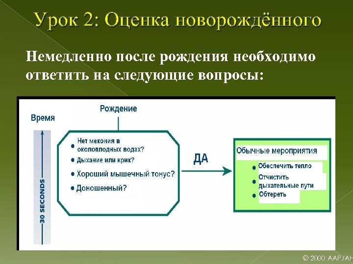 Урок 2: Оценка новорождённого Немедленно после рождения необходимо ответить на следующие вопросы: © 2000
