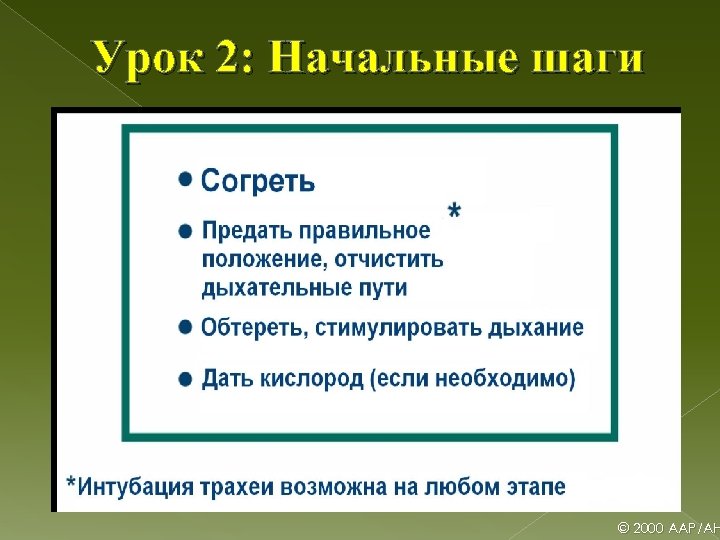 Урок 2: Начальные шаги © 2000 AAP/AH 