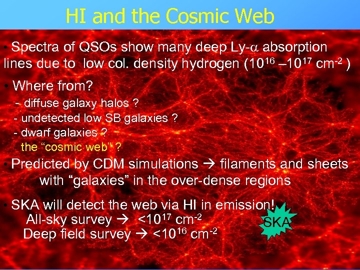 HI and the Cosmic Web • Spectra of QSOs show many deep Ly-a absorption