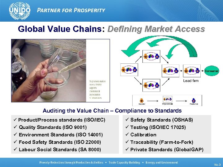 Global Value Chains: Defining Market Access Auditing the Value Chain – Compliance to Standards