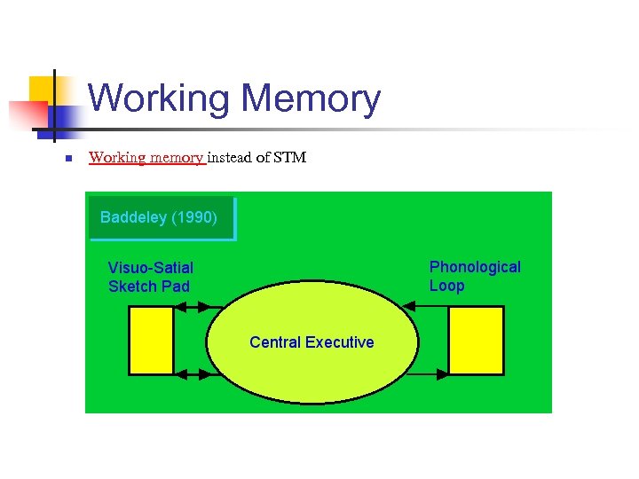 Working Memory n Working memory instead of STM 