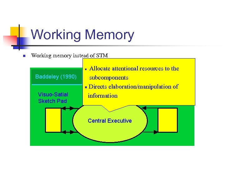 Working Memory n Working memory instead of STM Allocate attentional resources to the subcomponents