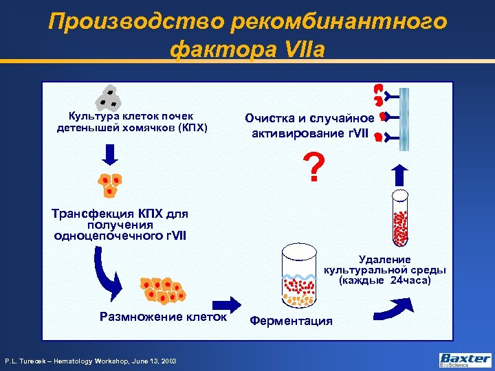 Производство рекомбинантного фактора VIIa Культура клеток почек детенышей хомячков (КПХ) Очистка и случайное активирование