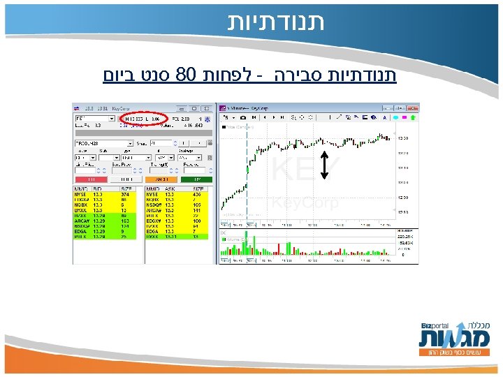  תנודתיות סבירה - לפחות 08 סנט ביום 