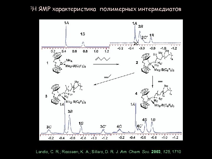 1 H ЯМР характеристика полимерных интермедиатов Landis, C. R. ; Rossaen, K. A. ;