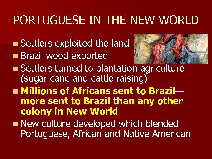 PORTUGUESE IN THE NEW WORLD n Settlers exploited the land n Brazil wood exported