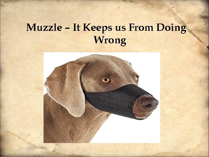 Muzzle – It Keeps us From Doing Wrong 