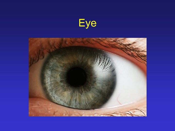 Eye 