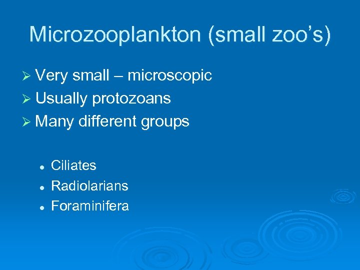 Microzooplankton (small zoo’s) Ø Very small – microscopic Ø Usually protozoans Ø Many different
